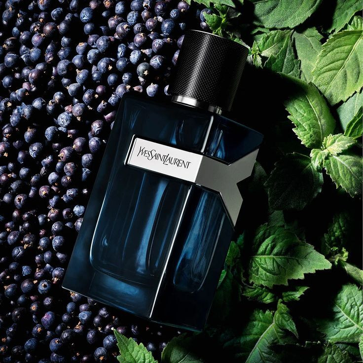 عطر ایو سن لورن وای | Yves Saint Laurent Y